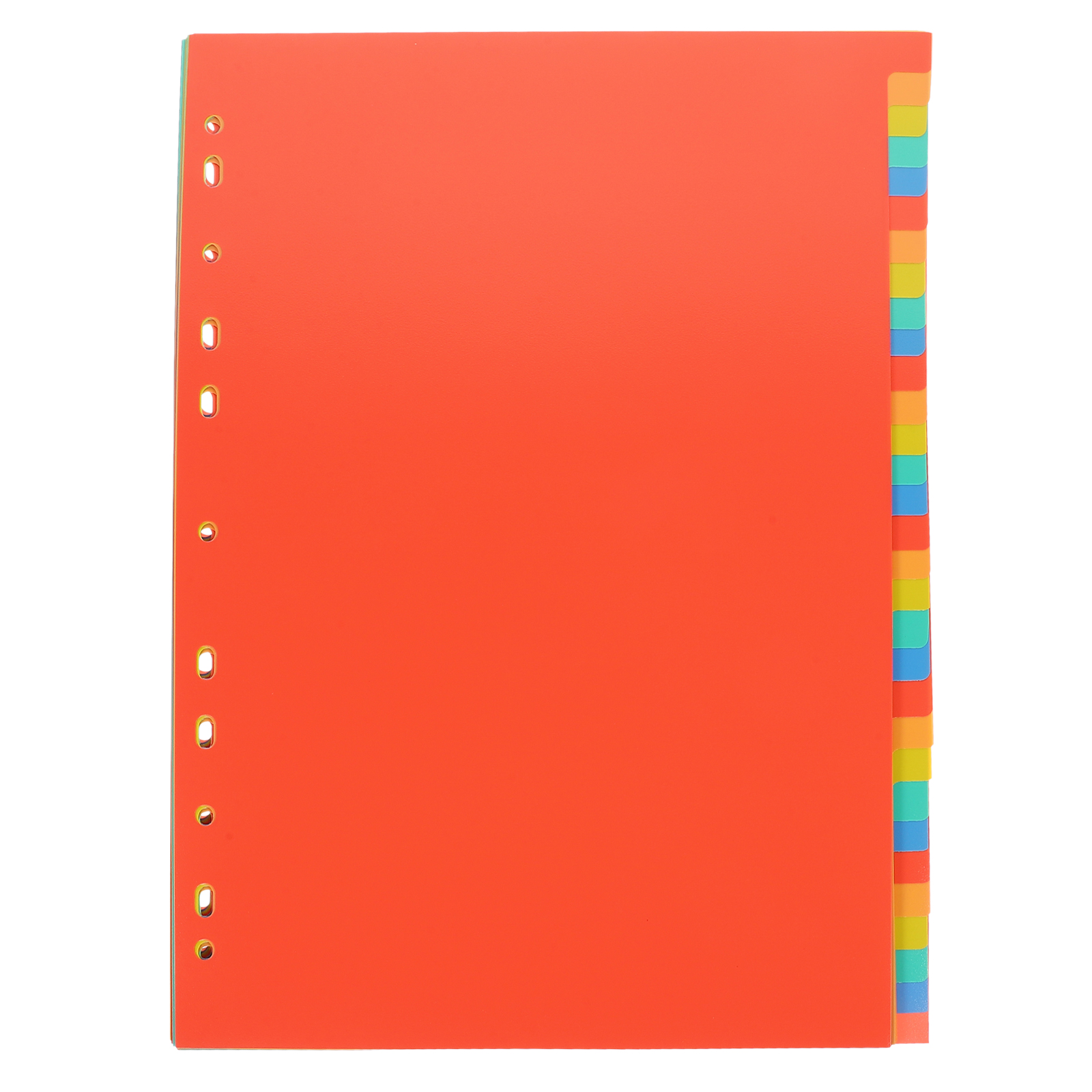 A4 Index Pages Plastic Binder  - Tab Divider A4 avaliação e preço