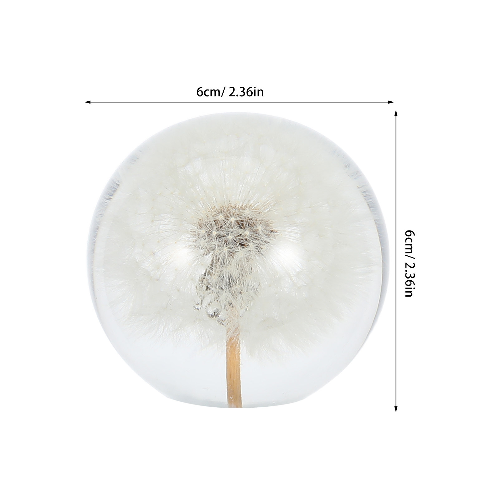 Dandelion Crystal Ball Glass S - Paper Weight Crystal avaliação e preço