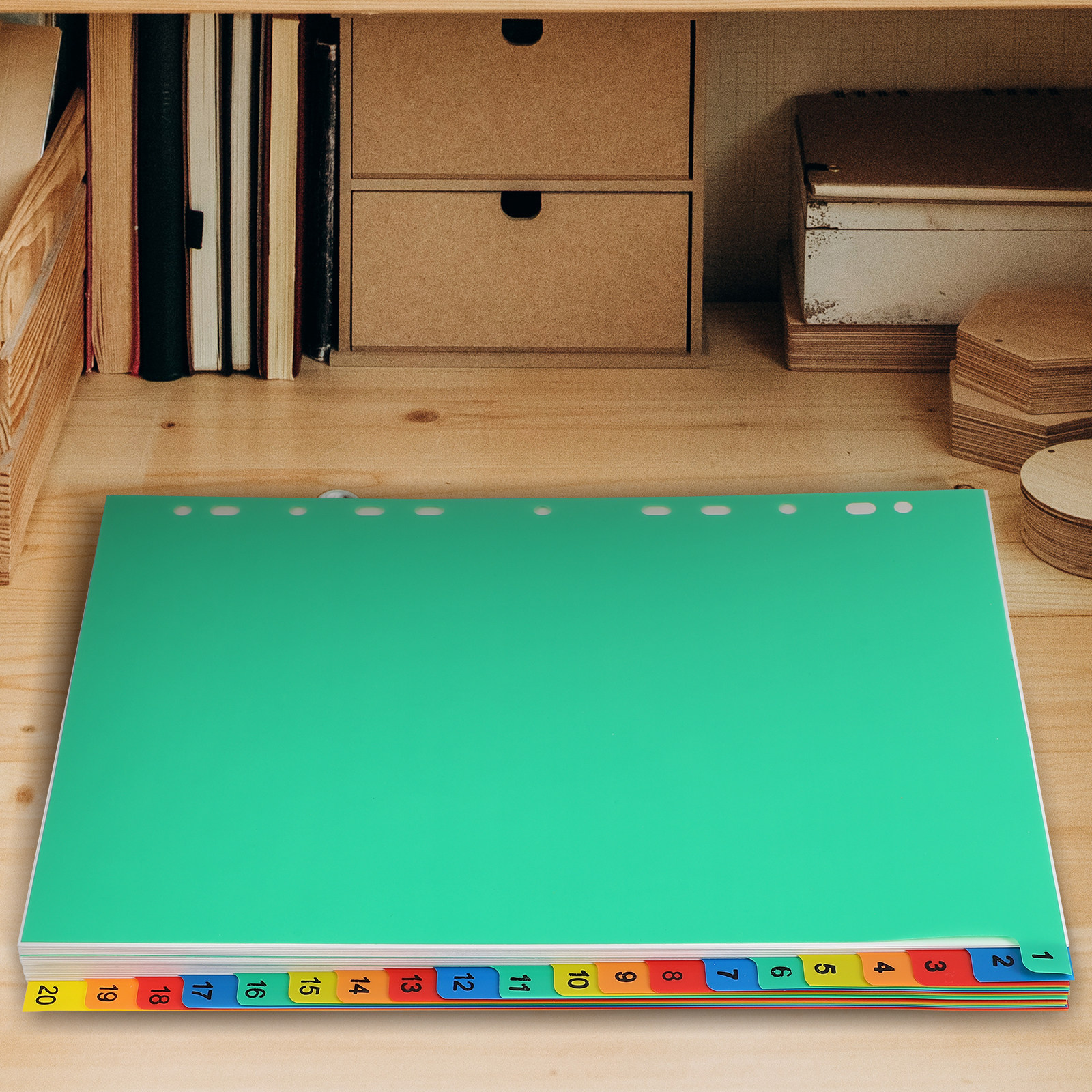20 Pages A4 Colorful Plastic T - Tab Divider A4 avaliação e preço