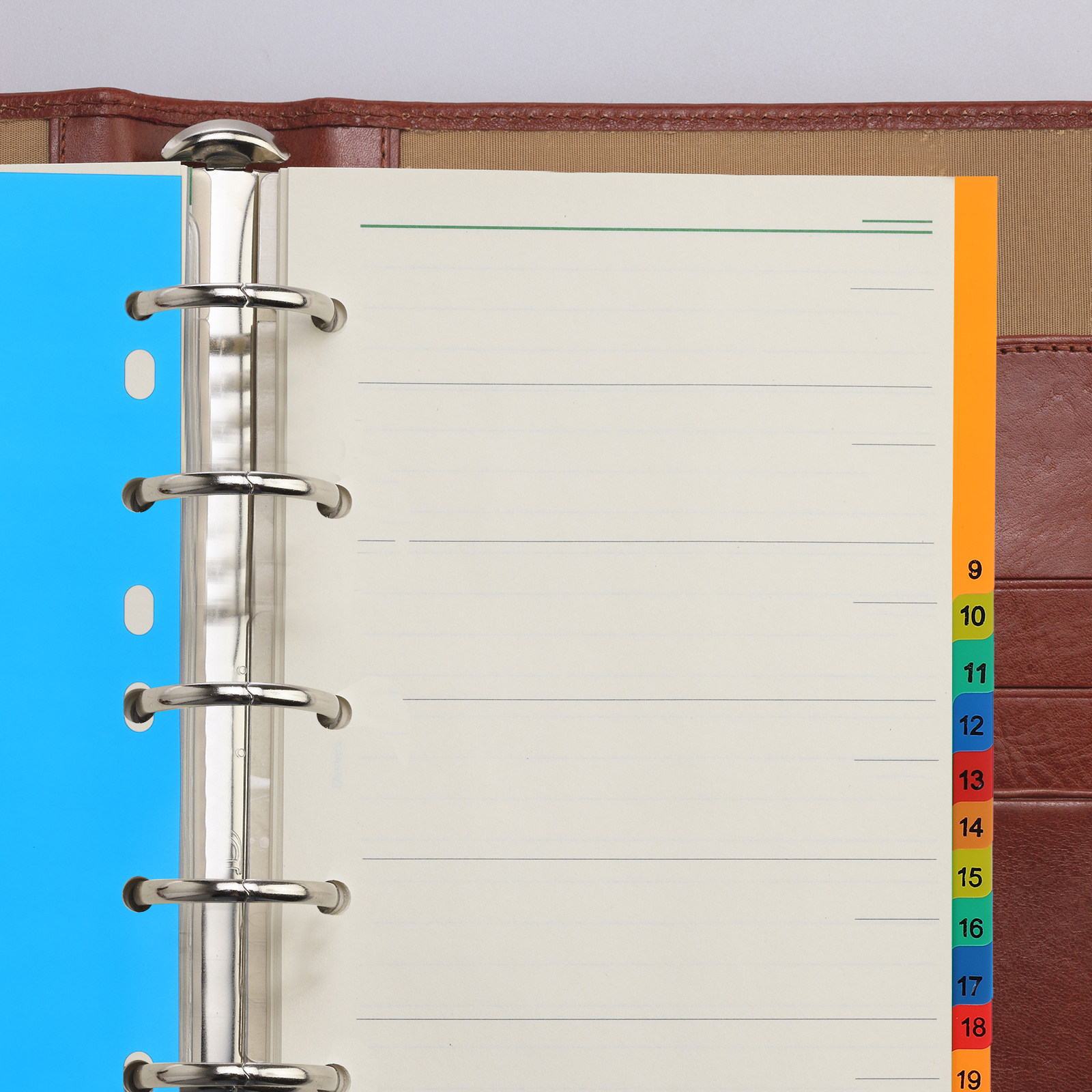 20 Pages A4 Multi Color Plasti - Tab Divider A4 avaliação e preço