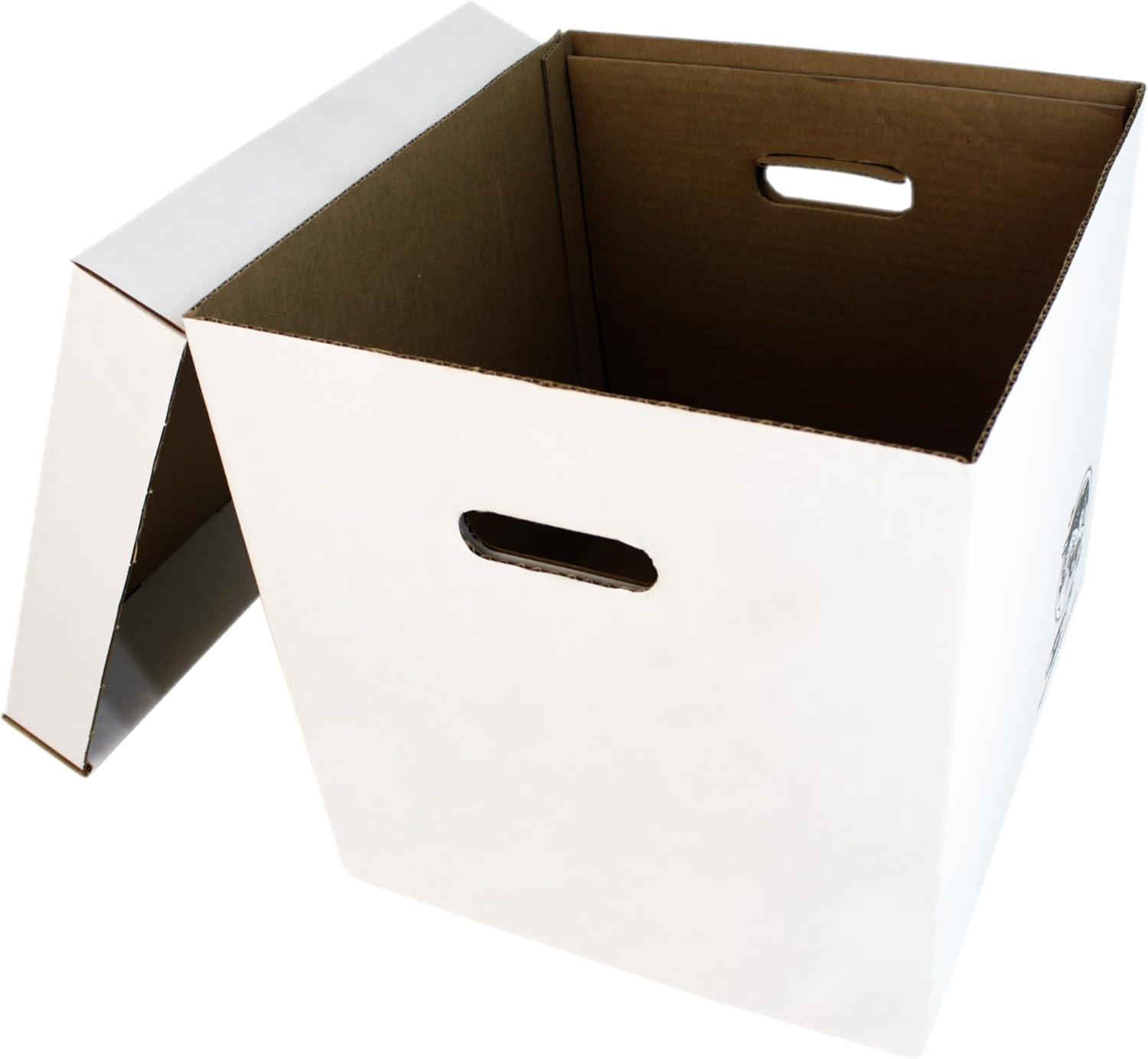 Set of 5 Heavy-Duty 12-Inch Vi - Archive Box Set avaliação e preço