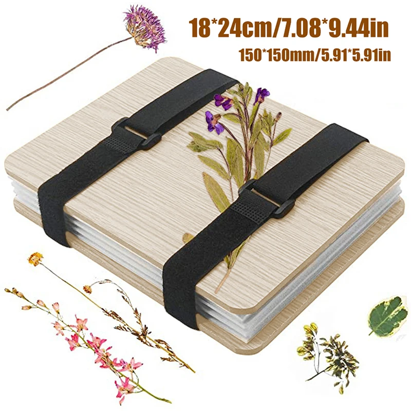 1 Set Plant Specimen Tool Kit  - Ink Blotter Paper avaliação e preço