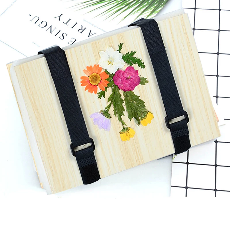 1 Set Plant Specimen Tool Kit  - Ink Blotter Paper avaliação e preço