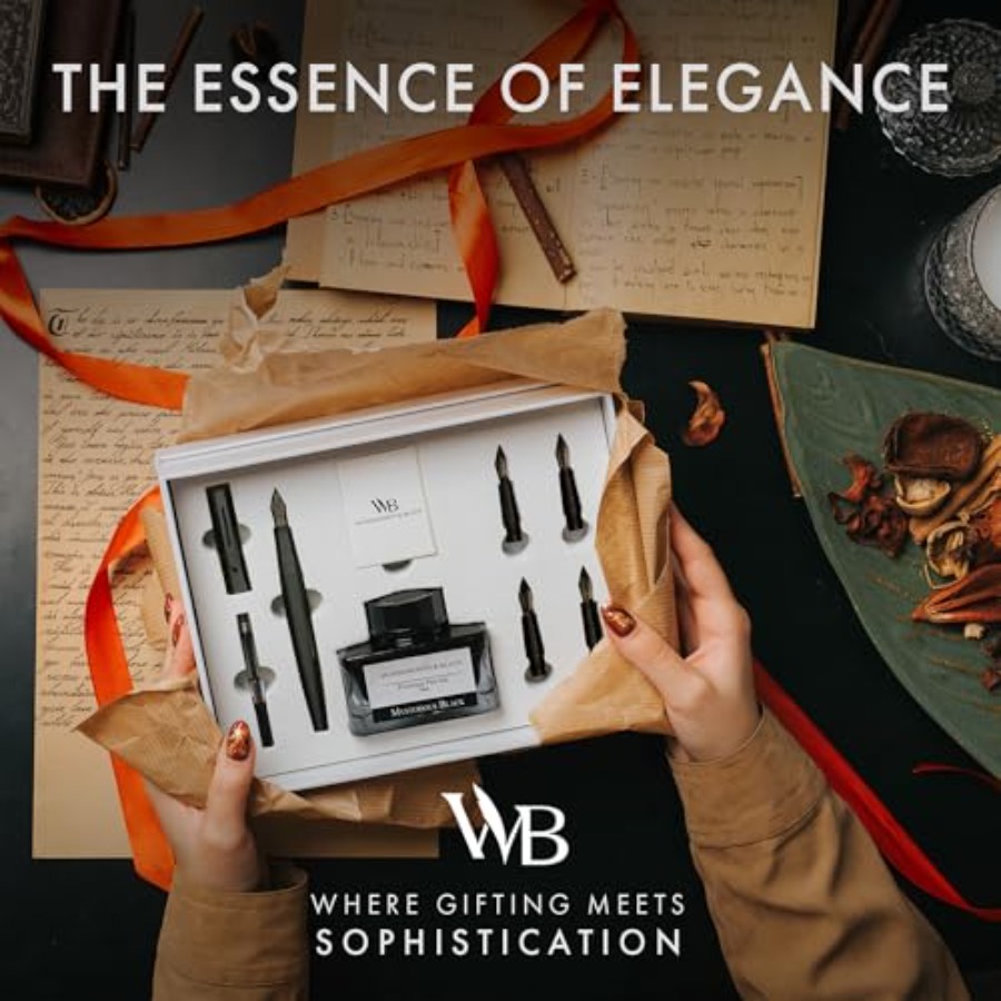 Fountain Pen Gift Set, Include - Fountain Pen Bottled Ink avaliação e preço